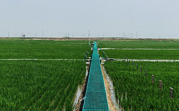 不銹鋼法蘭日常使用中的注意事項(xiàng)